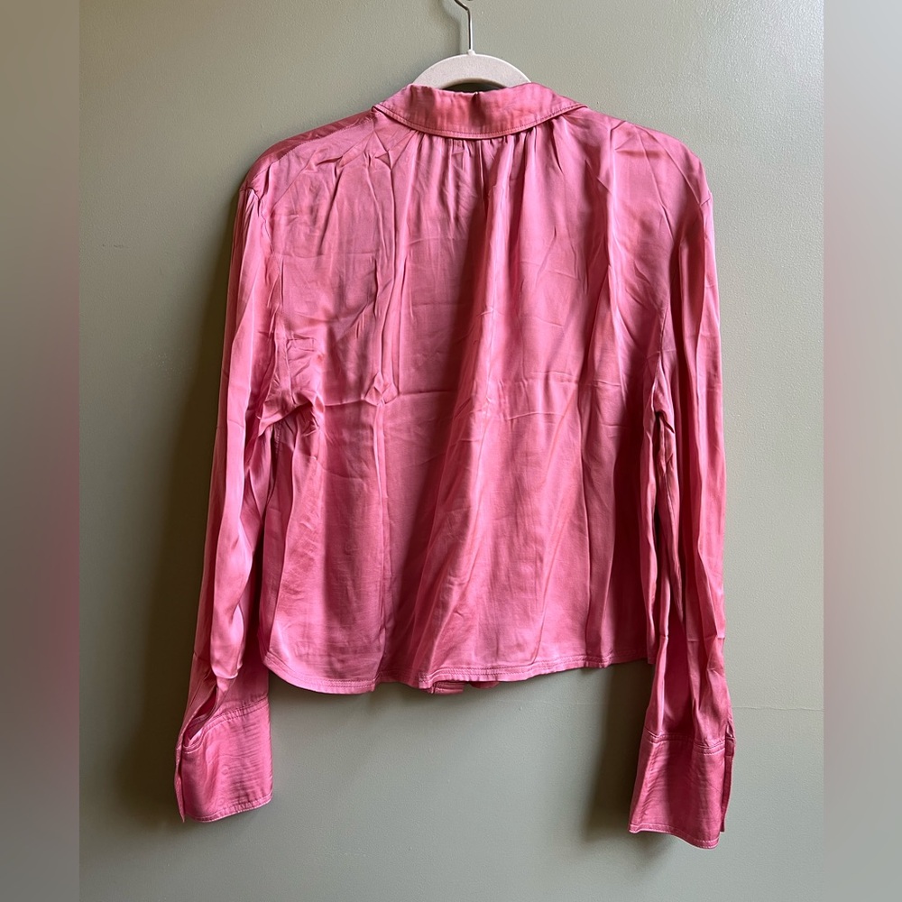 Pilcro Dusty Pink Button Down - Picture 3 of 6